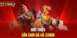 Ảnh đại diện - Thuật ngữ đá gà