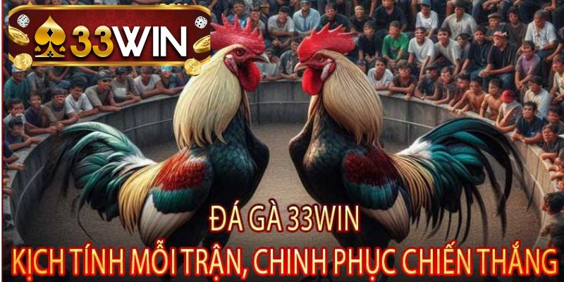 Sảnh trận đấu đá gà cựa sắt tại 33WIN