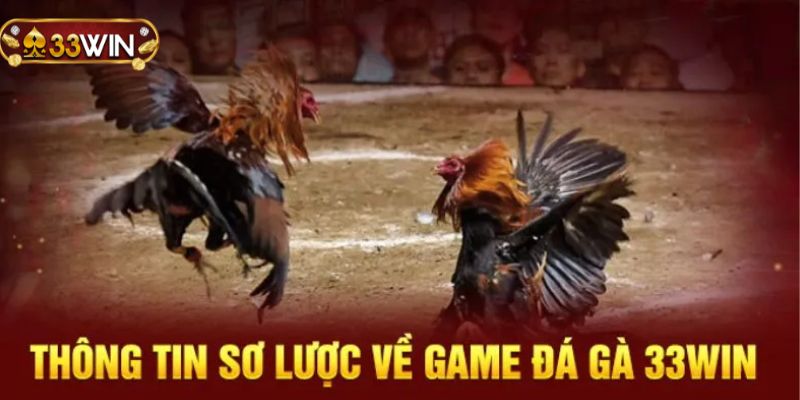 Sự quan trọng của hệ thống quy tắc khi tham gia cá cược