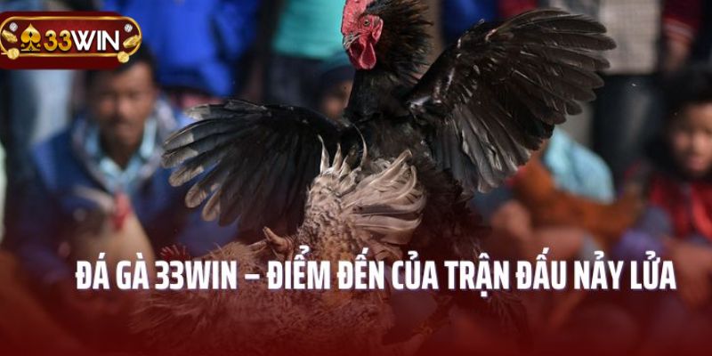 Tổng hợp ngôn từ chuyên dụng trong đấu kê trực tuyến